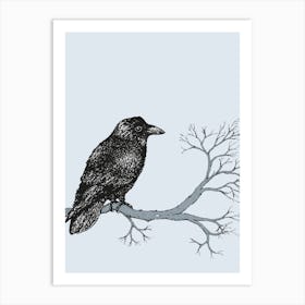 Raven pen drawing Art Print