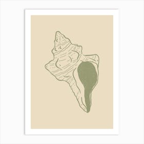 Seashell 11 Art Print