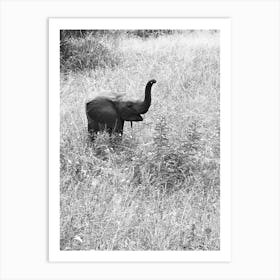 Baby Elephant In The Grass 1 Art Print