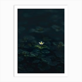 Single Flower In Water 13 Art Print