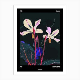 No Rain No Flowers Poster Cyclamen 3 Art Print