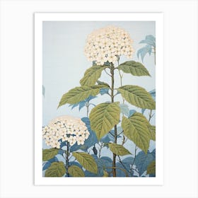 Ajisai Hydrangea 2 Vintage Botanical Woodblock Art Print