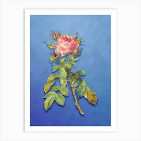 Vintage Lelieur's Four Seasons Rose Botanical Art on Blue Perennial n.1468 Art Print