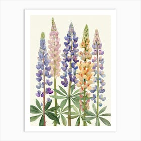 Lupines 1 Art Print