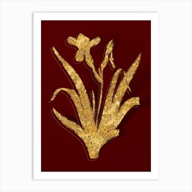 Vintage Hungarian Iris Botanical in Gold on Red n.0129 Art Print