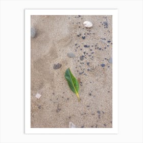 Leaf In The Sand Art Print