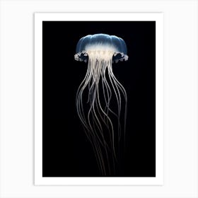 Comb Jellyfish Transparent 3 Art Print
