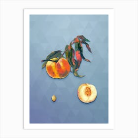 Vintage Peach Botanical Art on Summer Song Blue n.0360 Art Print