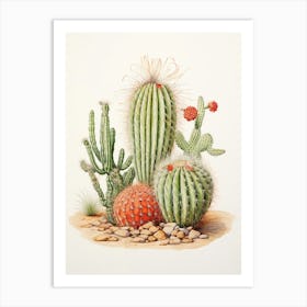 Vintage Cactus Illustration Barrel Cactus 1 Art Print