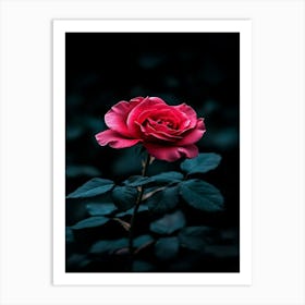 Dark Rose 118 Art Print