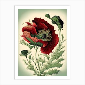 Poppy Herb Vintage Botanical Art Print