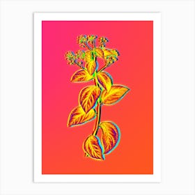 Neon New Jersey Tea Botanical in Hot Pink and Electric Blue n.0468 Art Print