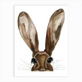 Hare Watercolour 1 Art Print