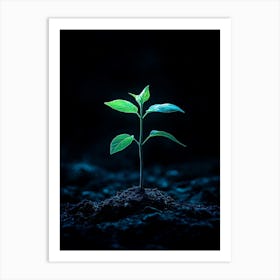 Young Plant Sprouting On Dark Background Art Print