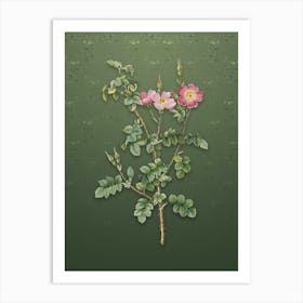 Vintage Prickly Sweetbriar Rose Botanical on Lunar Green Pattern n.0386 Art Print
