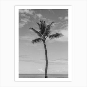 Hawaii 1 Art Print