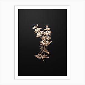 Gold Botanical Two Colored Collinsia Flower on Wrought Iron Black Art Print