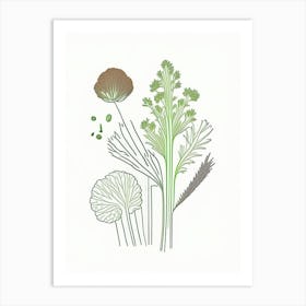 Celery Seeds Spices And Herbs Minimal Line Drawing 5 Art Print
