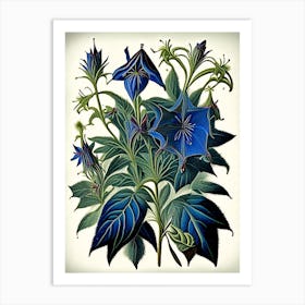 Borage Herb Vintage Botanical Art Print