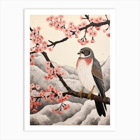 Bird Illustration Eurasian Sparrowhawk 2 Art Print