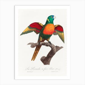 The Blue Headed Parrot Natural History Of Parrots, Francois Levaillant Art Print