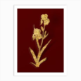 Vintage Elder Scented Iris Botanical in Gold on Red 1 Art Print
