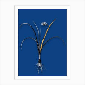 Vintage Brimeura Black and White Gold Leaf Floral Art on Midnight Blue n.0479 Art Print