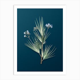 Vintage Blue Stars Botanical Art on Teal Blue n.0888 Art Print