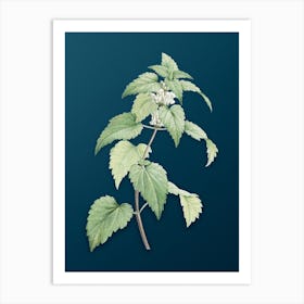 Vintage White Dead Nettle Plant Botanical Art on Teal Blue n.0138 Art Print