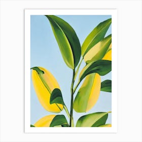 Banana Plant Bold Graphic Art Print