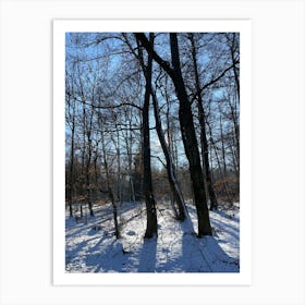 Winter Forest 4 Art Print