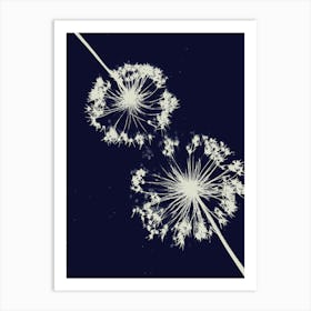 Blue Allium cyanotype Art Print