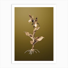 Gold Botanical Lady's Slipper Orchid on Dune Yellow n.4808 Art Print