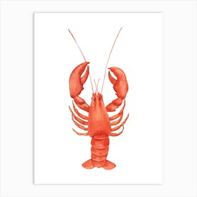 Lobster Watercolor Illustration Art Print