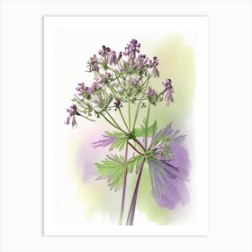 Meadow Rue Wildflower Watercolour Art Print