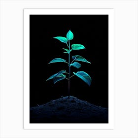 Green Plant On Black Background 7 Art Print