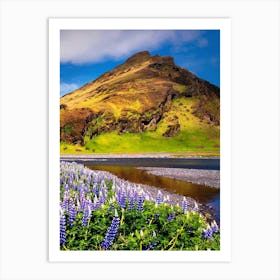 Lupines In Iceland Art Print