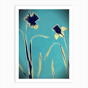 Daffodil cyanotype Art Print