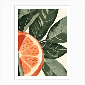 Guava Close Up Illustration 3 Art Print