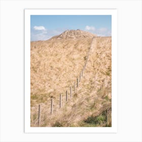 Fence And Dunes Art Print