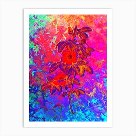 Single May Rose Botanical in Acid Neon Pink Green and Blue Art Print