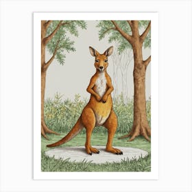 Kangaroo 14 Art Print