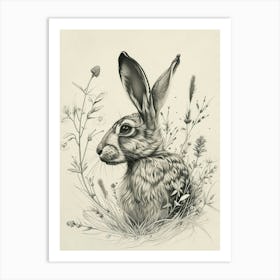Lionhead Rabbit Drawing 3 Art Print