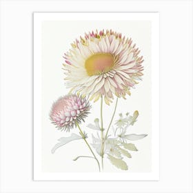 Chrysanthemum Floral Quentin Blake Inspired Illustration 1 Flower Art Print