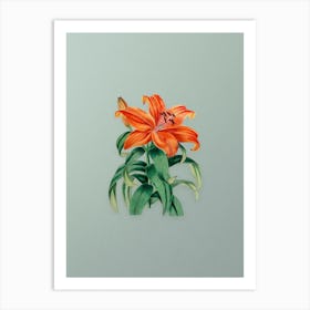 Vintage Thunberg's Orange Lily Botanical Art on Mint Green n.0215 Art Print