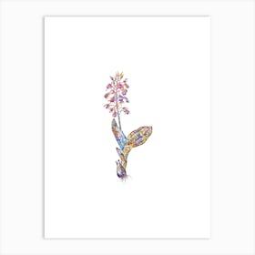 Stained Glass Brown Widelip Orchid Mosaic Botanical Illustration on White n.0308 Art Print