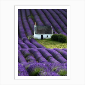 Lavender Fields In France 2 Art Print