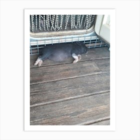 Pig Sleeping 2 Art Print