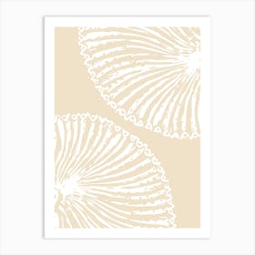 Seashells 2 Art Print