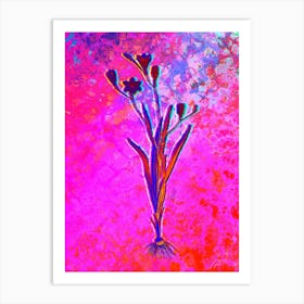Ixia Bulbifera Botanical in Acid Neon Pink Green and Blue n.0081 Art Print